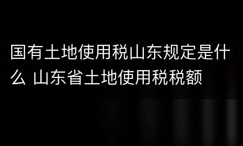 国有土地使用税山东规定是什么 山东省土地使用税税额
