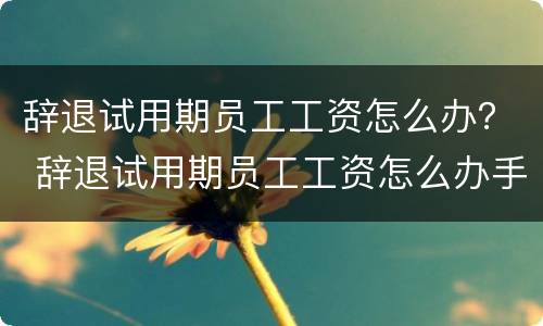 辞退试用期员工工资怎么办？ 辞退试用期员工工资怎么办手续