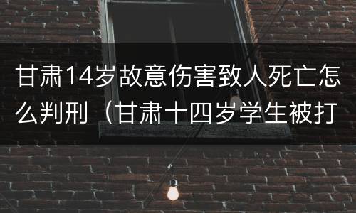 甘肃14岁故意伤害致人死亡怎么判刑（甘肃十四岁学生被打死的处理结果）