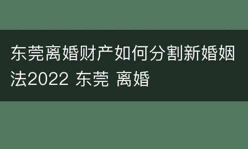 东莞离婚财产如何分割新婚姻法2022 东莞 离婚