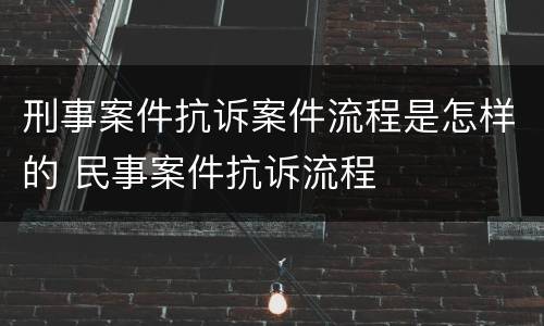 刑事案件抗诉案件流程是怎样的 民事案件抗诉流程