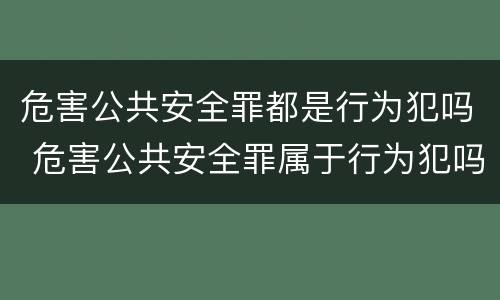 危害公共安全罪都是行为犯吗 危害公共安全罪属于行为犯吗