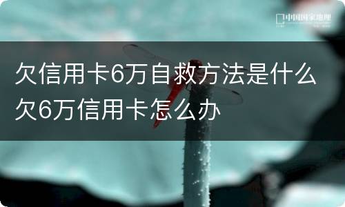 欠信用卡6万自救方法是什么 欠6万信用卡怎么办