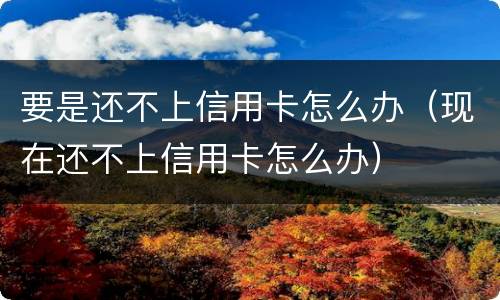 要是还不上信用卡怎么办（现在还不上信用卡怎么办）