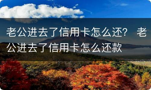 老公进去了信用卡怎么还？ 老公进去了信用卡怎么还款