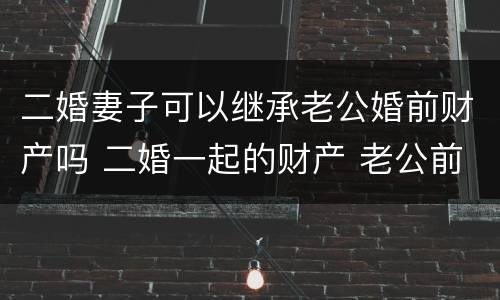 二婚妻子可以继承老公婚前财产吗 二婚一起的财产 老公前妻的孩子能继承吗?