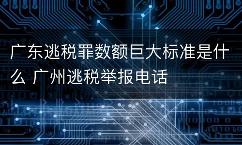 广东逃税罪数额巨大标准是什么 广州逃税举报电话