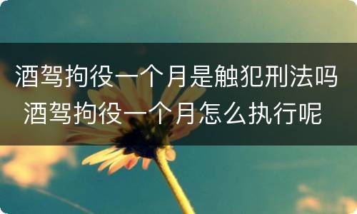 酒驾拘役一个月是触犯刑法吗 酒驾拘役一个月怎么执行呢