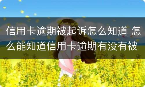 信用卡逾期被起诉怎么知道 怎么能知道信用卡逾期有没有被起诉
