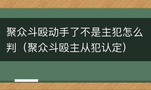 聚众斗殴动手了不是主犯怎么判（聚众斗殴主从犯认定）