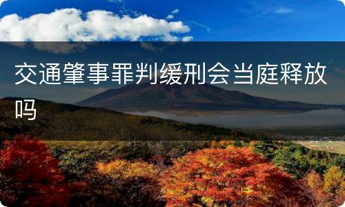 交通肇事罪判缓刑会当庭释放吗