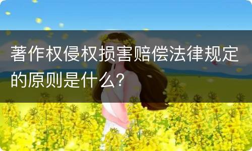 著作权侵权损害赔偿法律规定的原则是什么？