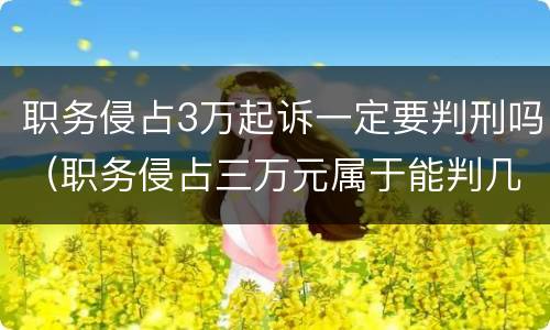 职务侵占3万起诉一定要判刑吗（职务侵占三万元属于能判几年）