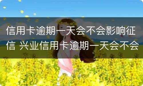 信用卡逾期一天会不会影响征信 兴业信用卡逾期一天会不会影响征信