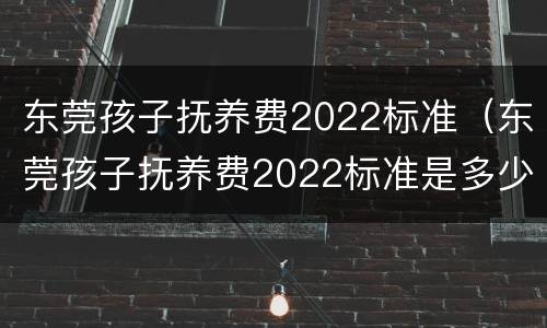 东莞孩子抚养费2022标准（东莞孩子抚养费2022标准是多少钱）
