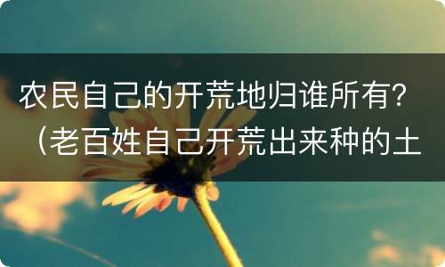 农民自己的开荒地归谁所有？（老百姓自己开荒出来种的土地归属地归谁）