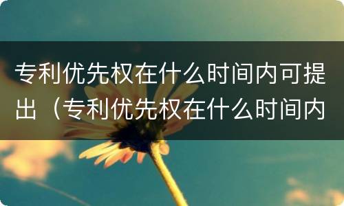 专利优先权在什么时间内可提出（专利优先权在什么时间内可提出申请）