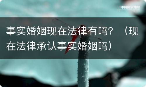 事实婚姻现在法律有吗？（现在法律承认事实婚姻吗）