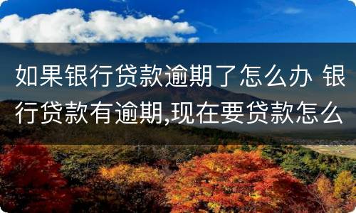 如果银行贷款逾期了怎么办 银行贷款有逾期,现在要贷款怎么贷