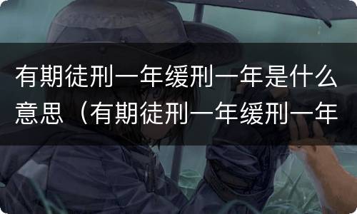 有期徒刑一年缓刑一年是什么意思（有期徒刑一年缓刑一年是啥意思）