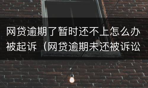 网贷逾期了暂时还不上怎么办被起诉（网贷逾期未还被诉讼怎么办）