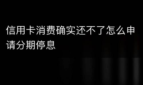 信用卡消费确实还不了怎么申请分期停息