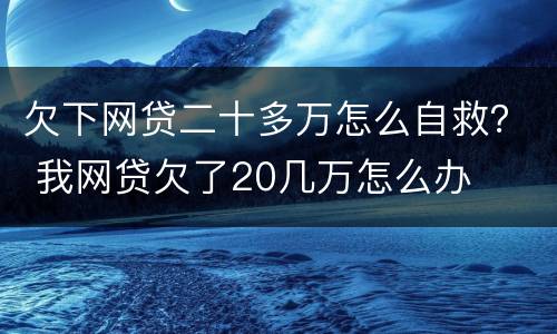 欠下网贷二十多万怎么自救？ 我网贷欠了20几万怎么办