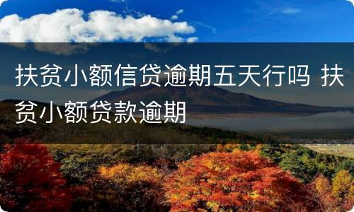 扶贫小额信贷逾期五天行吗 扶贫小额贷款逾期