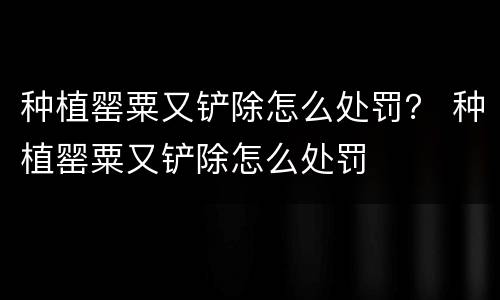 种植罂粟又铲除怎么处罚？ 种植罂粟又铲除怎么处罚