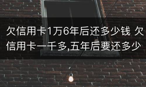 欠信用卡1万6年后还多少钱 欠信用卡一千多,五年后要还多少
