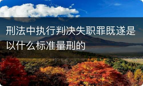 刑法中执行判决失职罪既遂是以什么标准量刑的