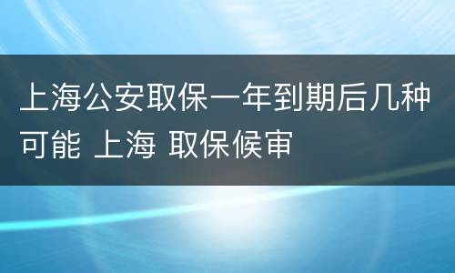 上海公安取保一年到期后几种可能 上海 取保候审