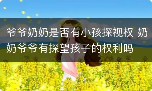 爷爷奶奶是否有小孩探视权 奶奶爷爷有探望孩子的权利吗