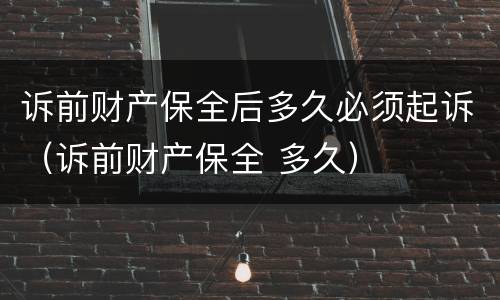 诉前财产保全后多久必须起诉（诉前财产保全 多久）