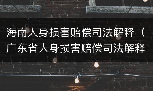 海南人身损害赔偿司法解释（广东省人身损害赔偿司法解释）