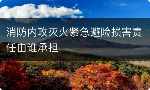 消防内攻灭火紧急避险损害责任由谁承担