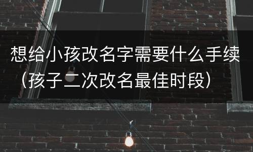 想给小孩改名字需要什么手续（孩子二次改名最佳时段）