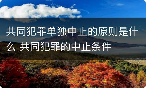 共同犯罪单独中止的原则是什么 共同犯罪的中止条件
