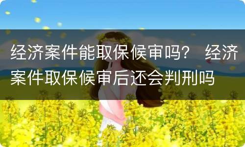 经济案件能取保候审吗？ 经济案件取保候审后还会判刑吗