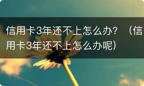 信用卡3年还不上怎么办？（信用卡3年还不上怎么办呢）