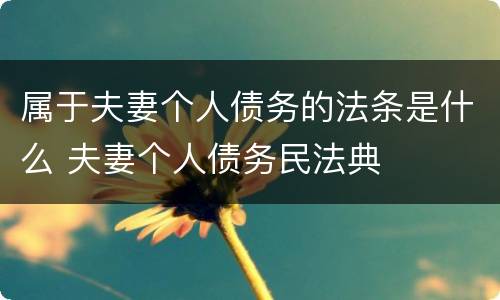 属于夫妻个人债务的法条是什么 夫妻个人债务民法典