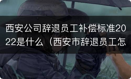 西安公司辞退员工补偿标准2022是什么（西安市辞退员工怎么赔偿）