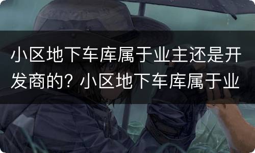 小区地下车库属于业主还是开发商的? 小区地下车库属于业主还是开发商的房子
