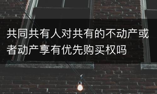 共同共有人对共有的不动产或者动产享有优先购买权吗