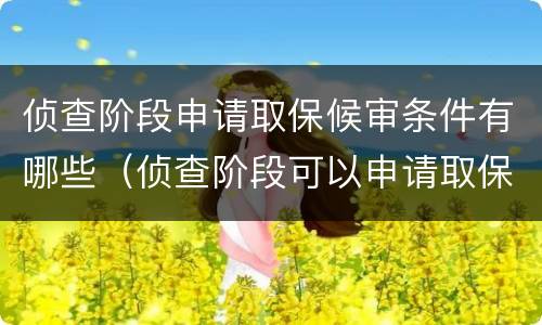 侦查阶段申请取保候审条件有哪些（侦查阶段可以申请取保候审吗）