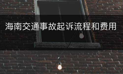 海南交通事故起诉流程和费用