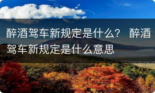 醉酒驾车新规定是什么？ 醉酒驾车新规定是什么意思