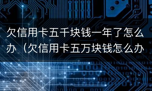 欠信用卡五千块钱一年了怎么办（欠信用卡五万块钱怎么办）