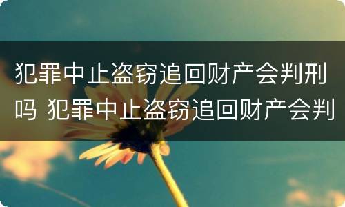 犯罪中止盗窃追回财产会判刑吗 犯罪中止盗窃追回财产会判刑吗知乎