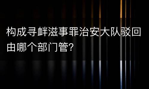 构成寻衅滋事罪治安大队驳回由哪个部门管？
